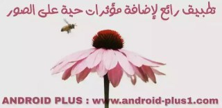 تحميل تطبيق VIMAGE Live Photo Editor لتصميم الصور واضافة مؤثرات حية ومتحركة اليها بطريقة احترافية مجانا للاندرويد